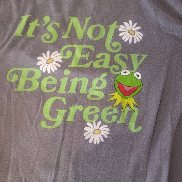 DISNEY KERMIT THE FROG CROPPED TOP TSHIRT - Picture 2 of 3